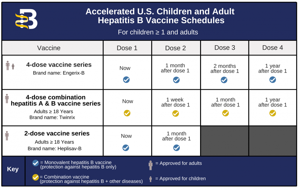 Jadwal pemberian vaksin Twinrix untuk anak dan dewasa dengan menggunakan Accelerated Schedule.