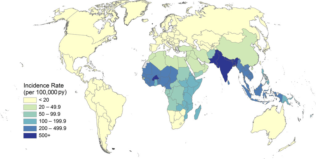 Gambaran penyebaran Infeksi Tifoid. Indonesia termasuk salah satu negara yang memiliki kasus demam tifoid tertinggi.