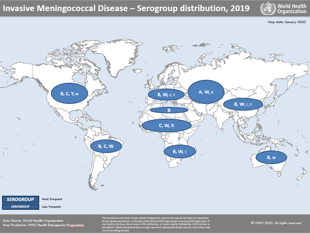 Distribusi penyebaran infeksi meningococcal menurut serogroup masing-masing.