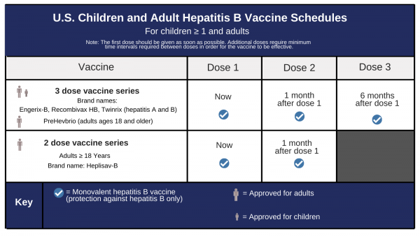 Jadwal pemberian vaksin Twinrix untuk anak dan dewasa.