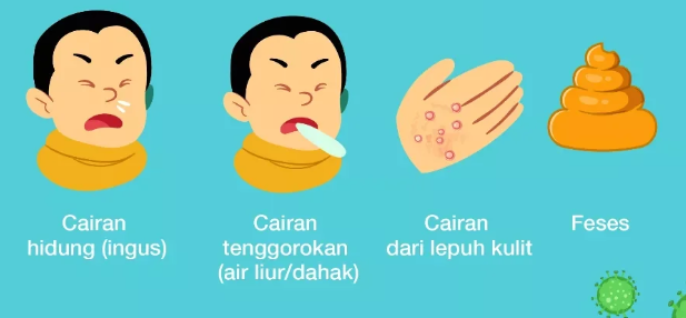 Penularan HFMD (Flu Singapore)